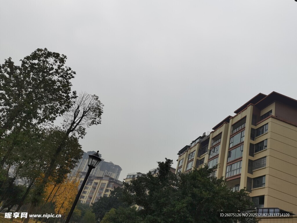 小区周边建筑与绿植景观