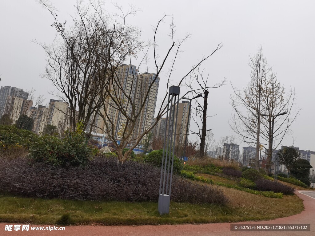 城市公园中的绿植与建筑景观