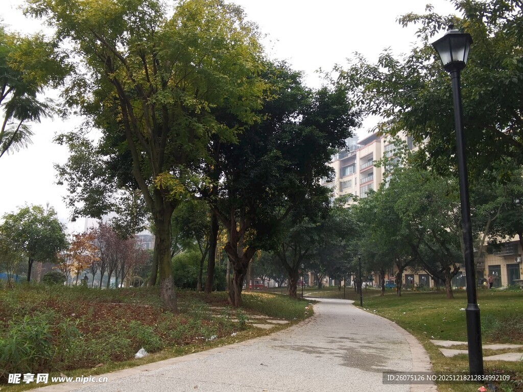 小区内的林荫步道景观