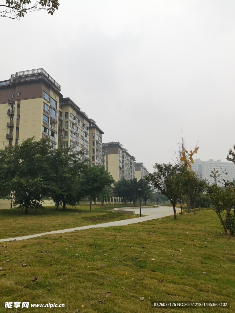 小区旁的绿地景观