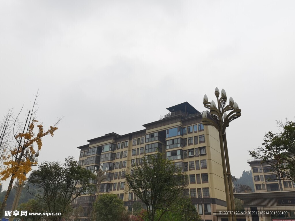 城市中造型独特的树木建筑