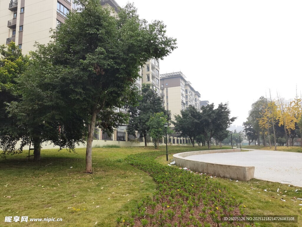 小区内的绿化景观