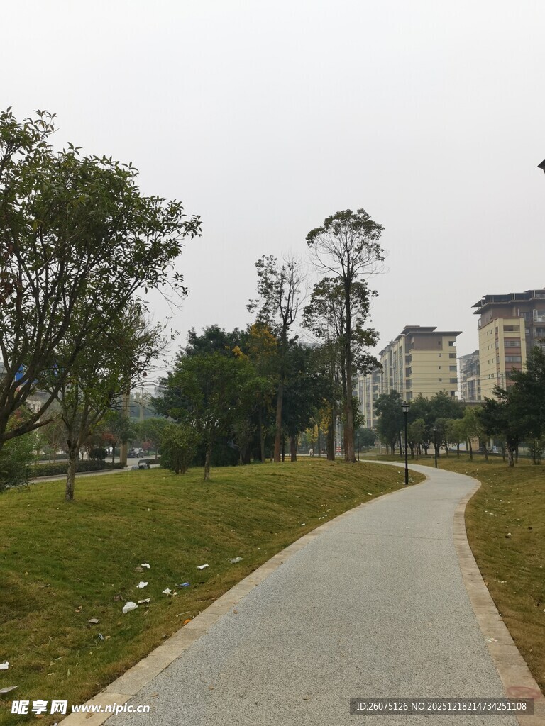 公园中的蜿蜒小路