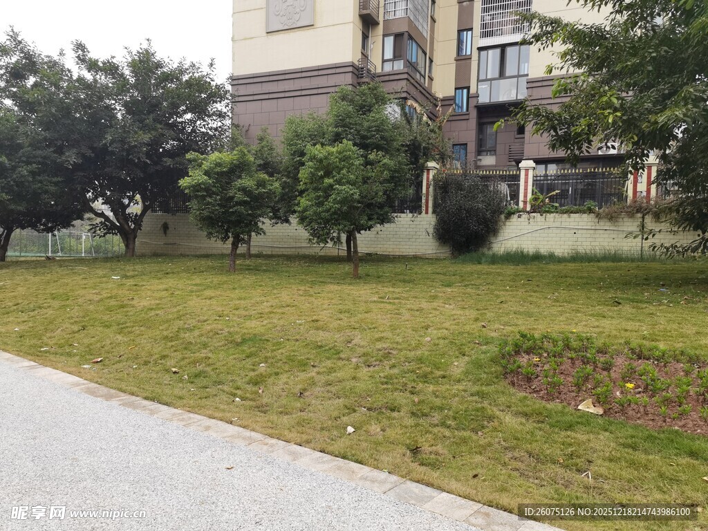 小区绿化带景致