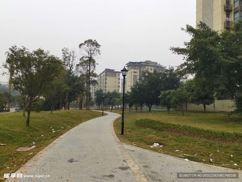 城市公园中的幽静小路