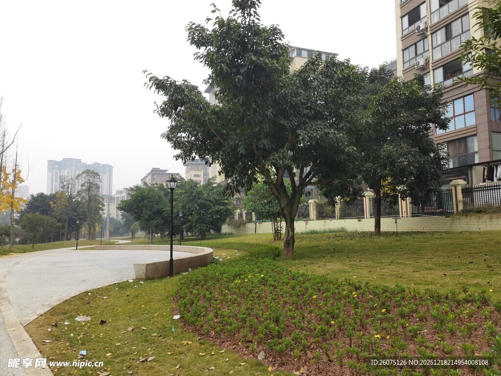 小区内的绿化景观道路