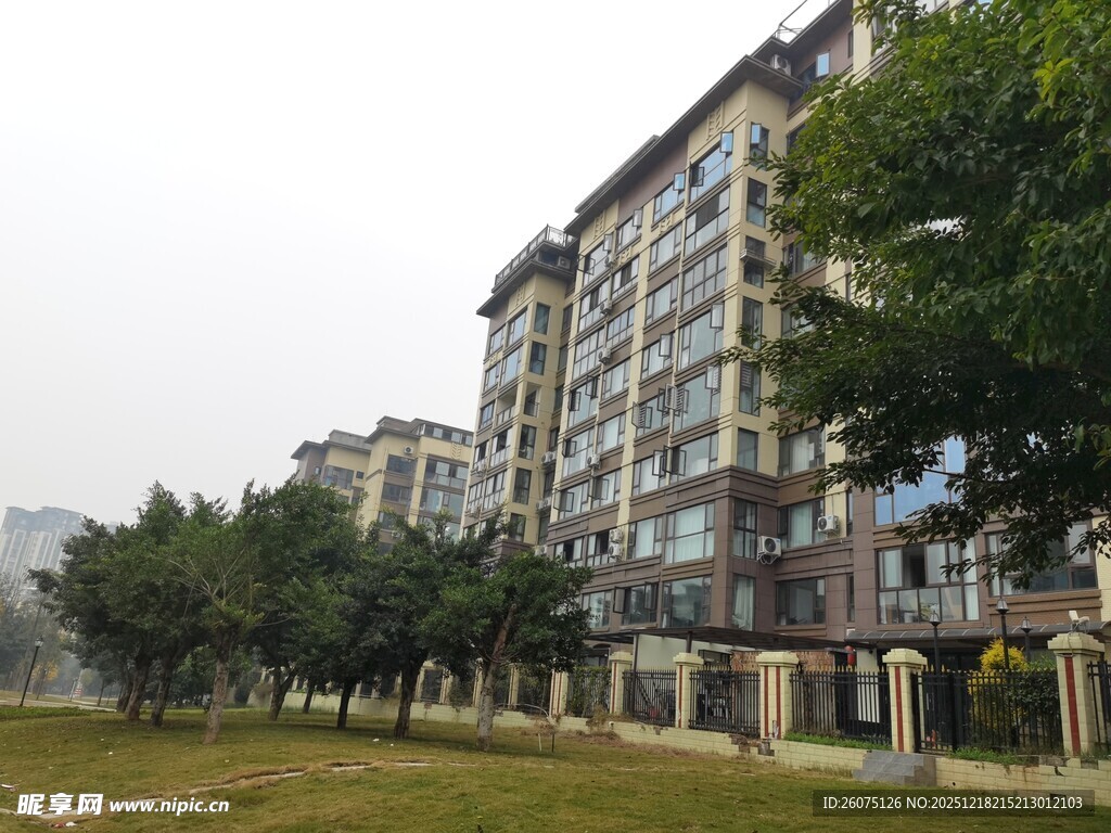 多层住宅旁绿树环绕景观