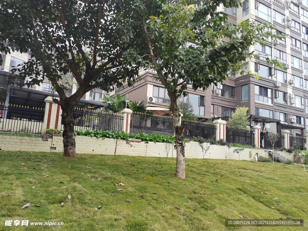 小区内的绿化与建筑景观