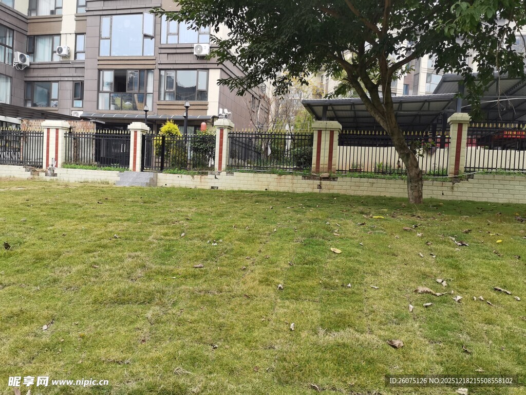 庭院草坪与房屋景观