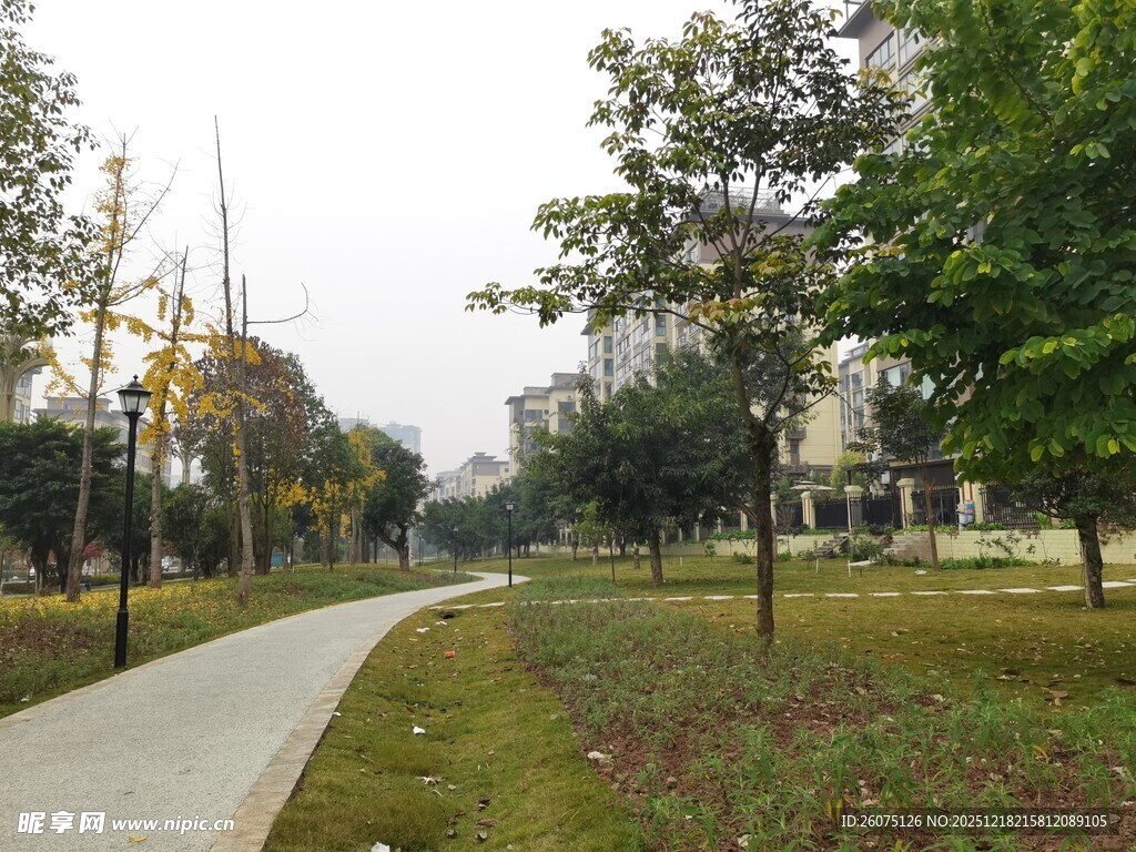 城市公园中的幽静小路