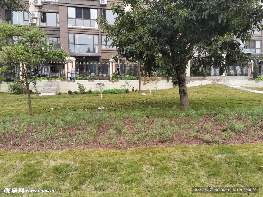 小区内的绿化景观