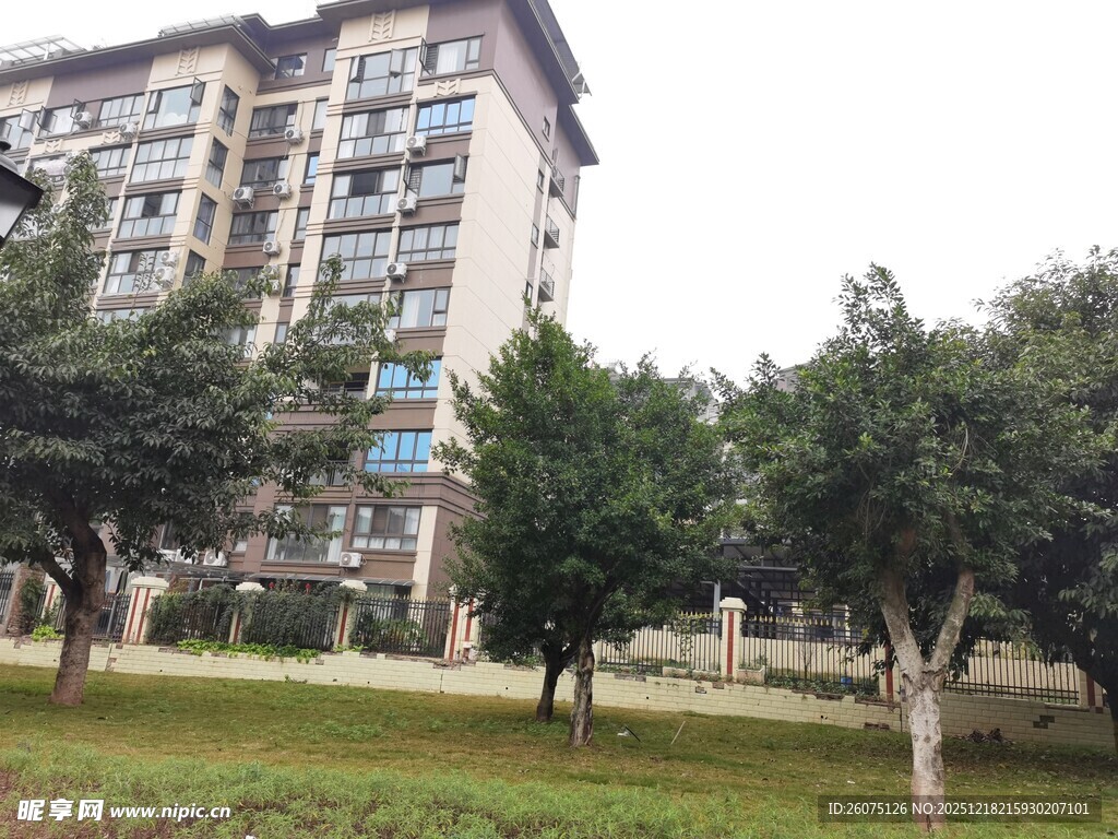 小区绿化景观与住宅楼