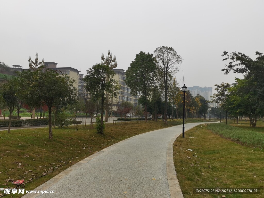 公园蜿蜒小径景色