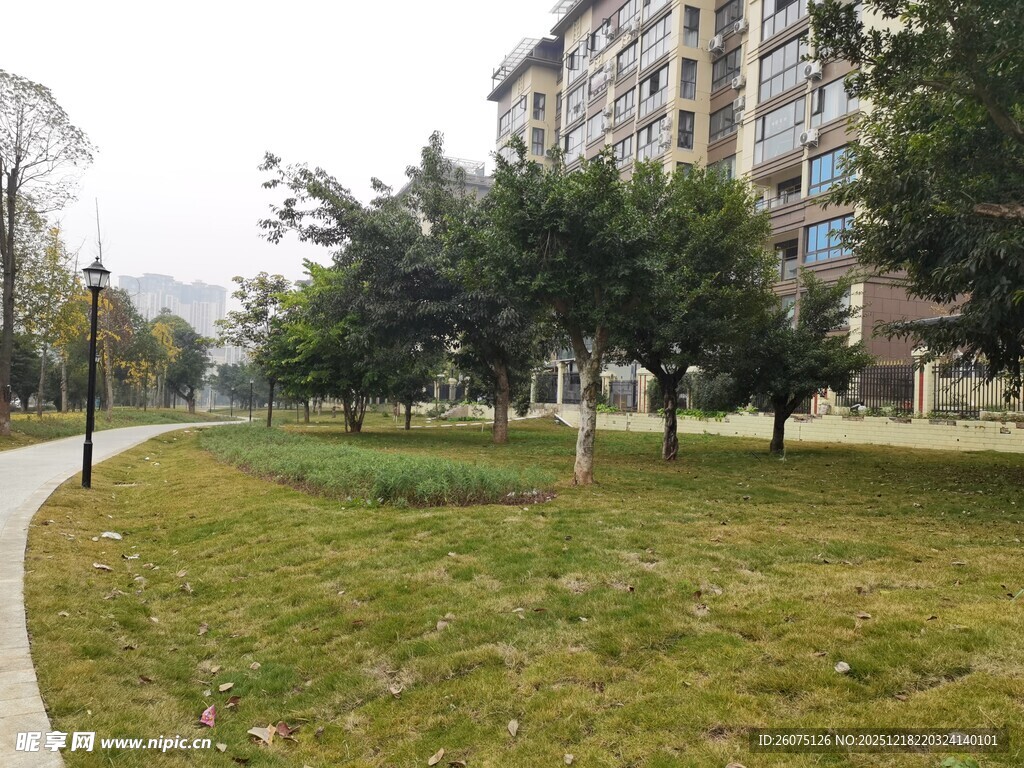 小区旁的绿意草坪景观