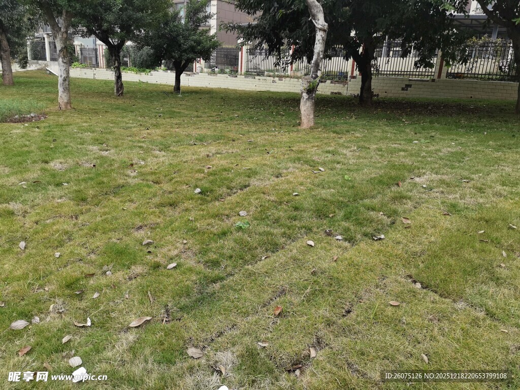 户外草地树木景观图