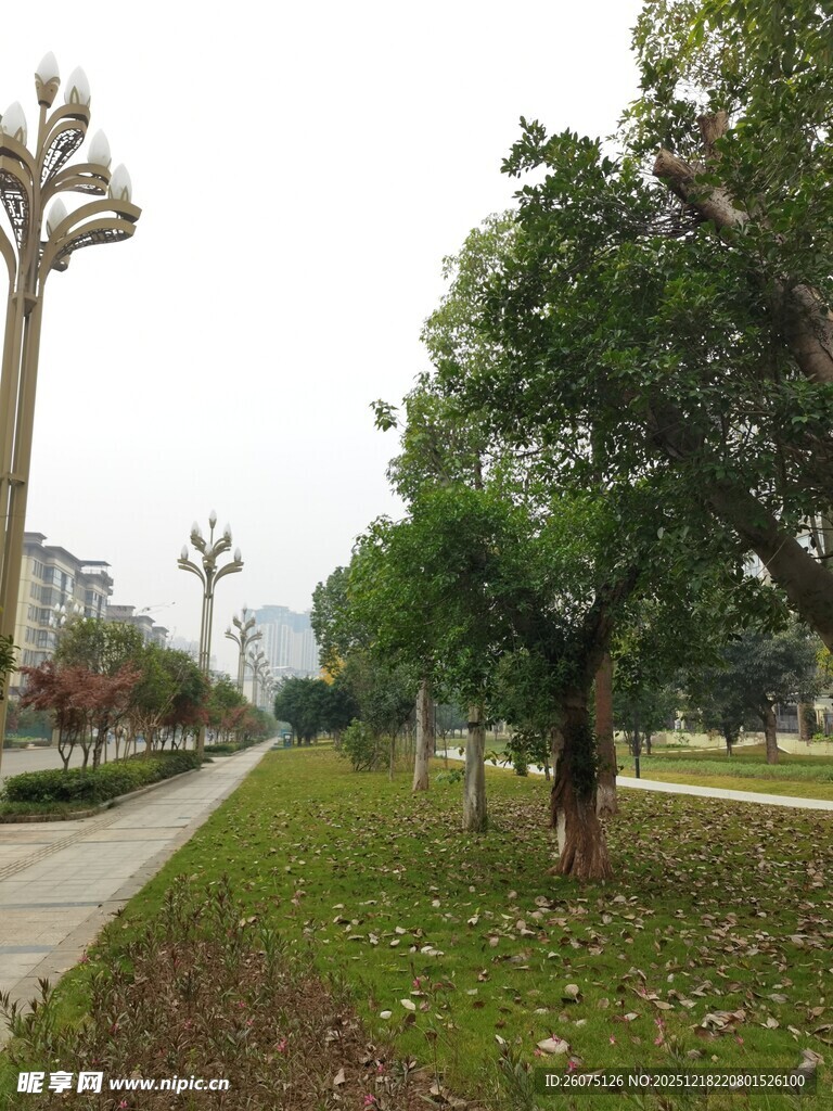 城市林荫步道景观