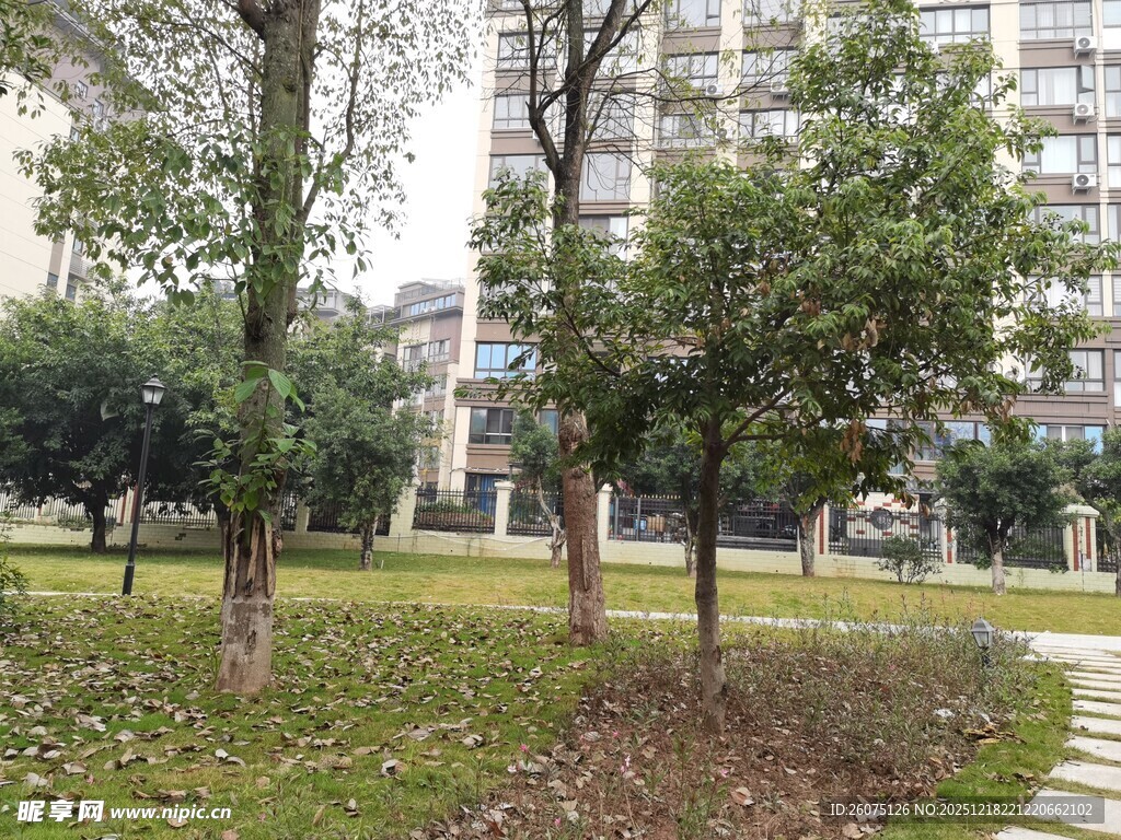 小区内的绿化景观小径