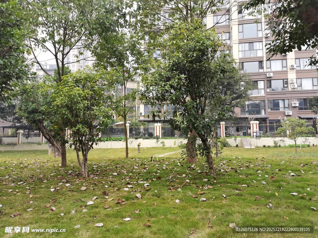 小区内的绿树与草地