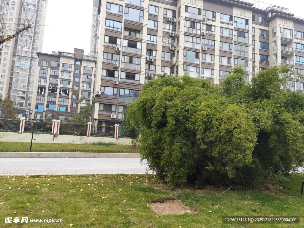 小区绿植与楼房景观