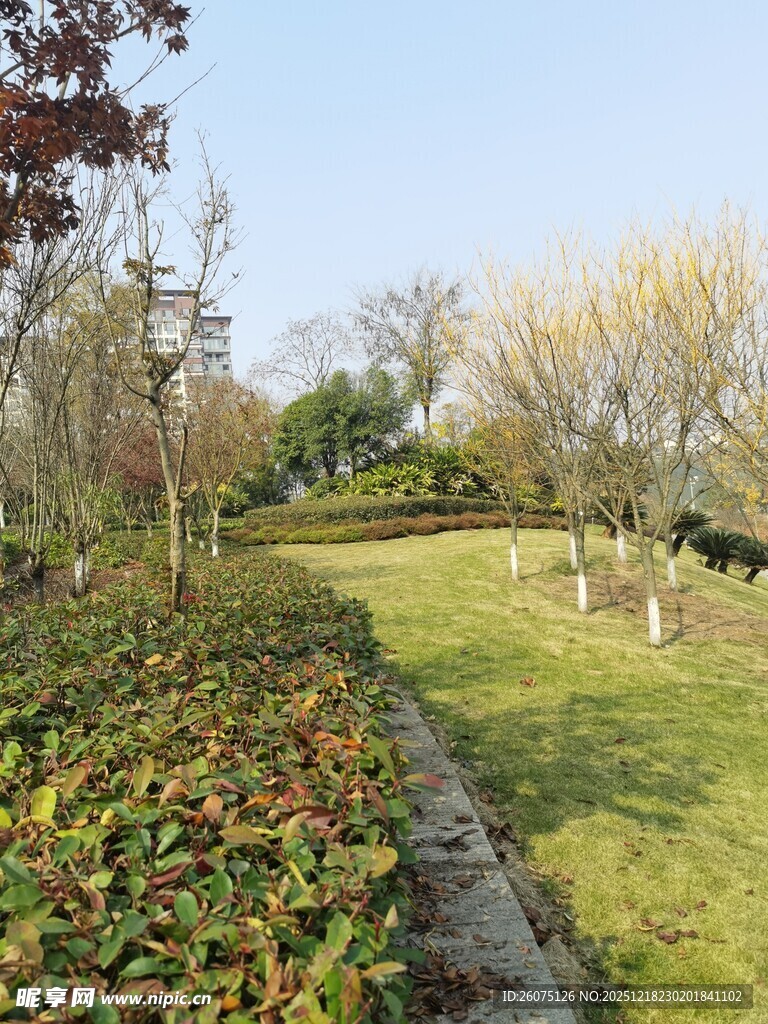 春日园林小径景致