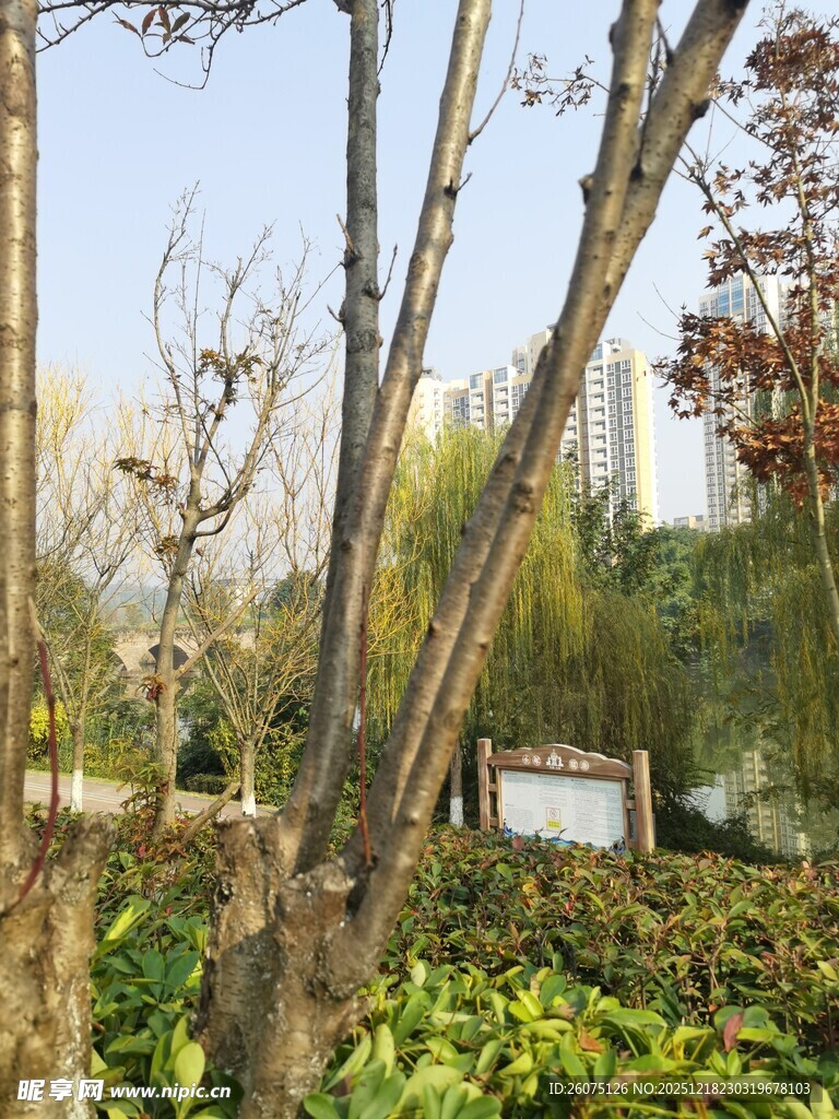 户外绿植景观