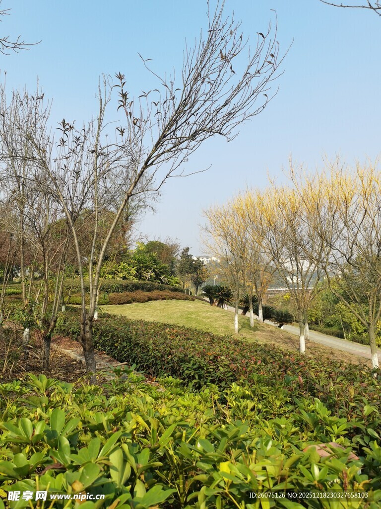 户外绿意盎然的自然景致