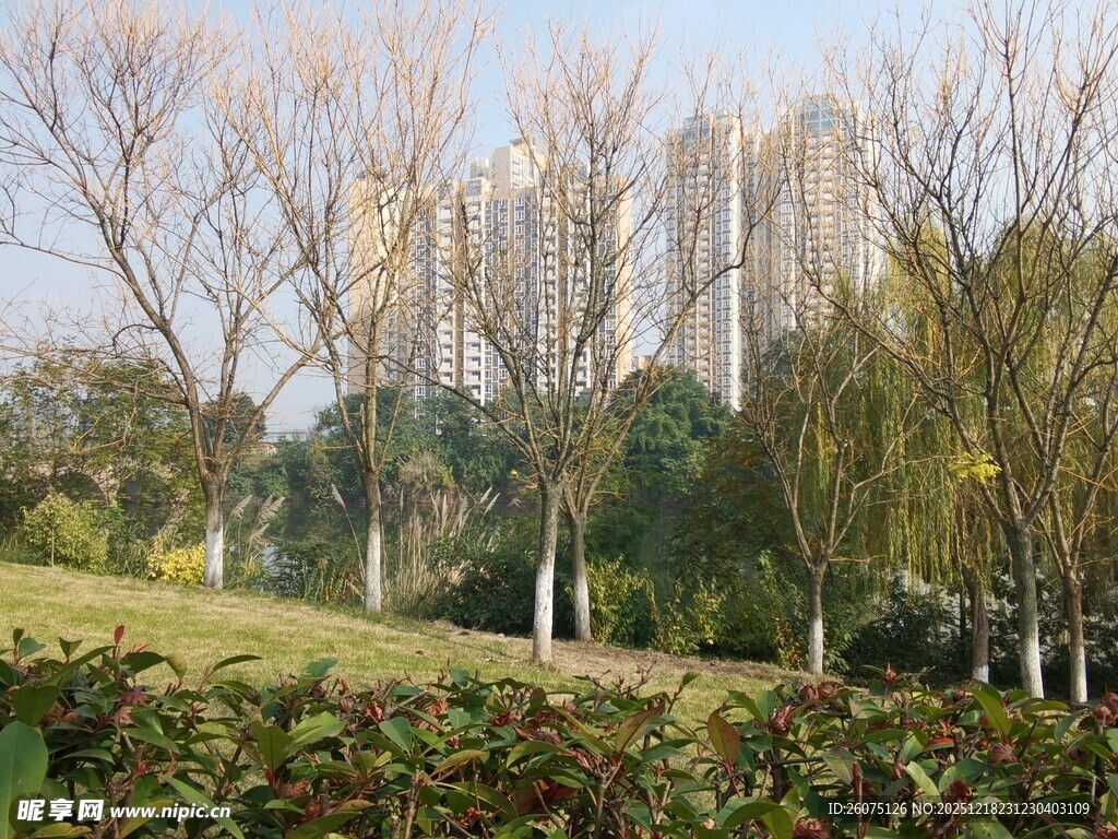 城市公园秋日风景