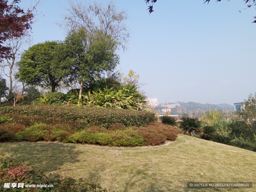 户外绿意盎然的园林景致