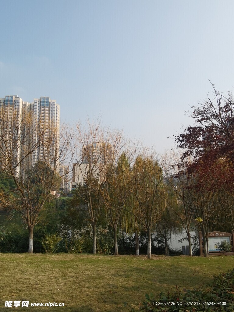 城市公园秋日风景