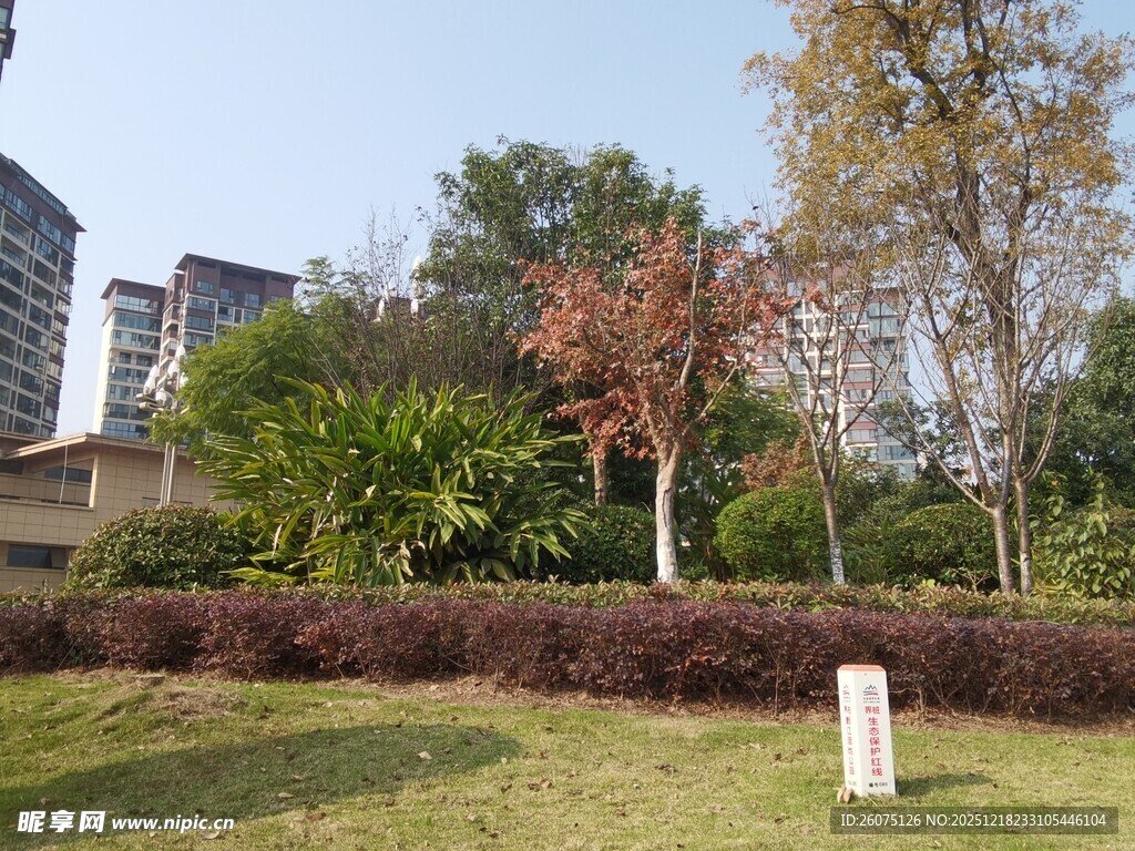 城市中的绿意景观