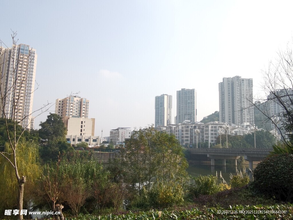 城市中的绿植景观