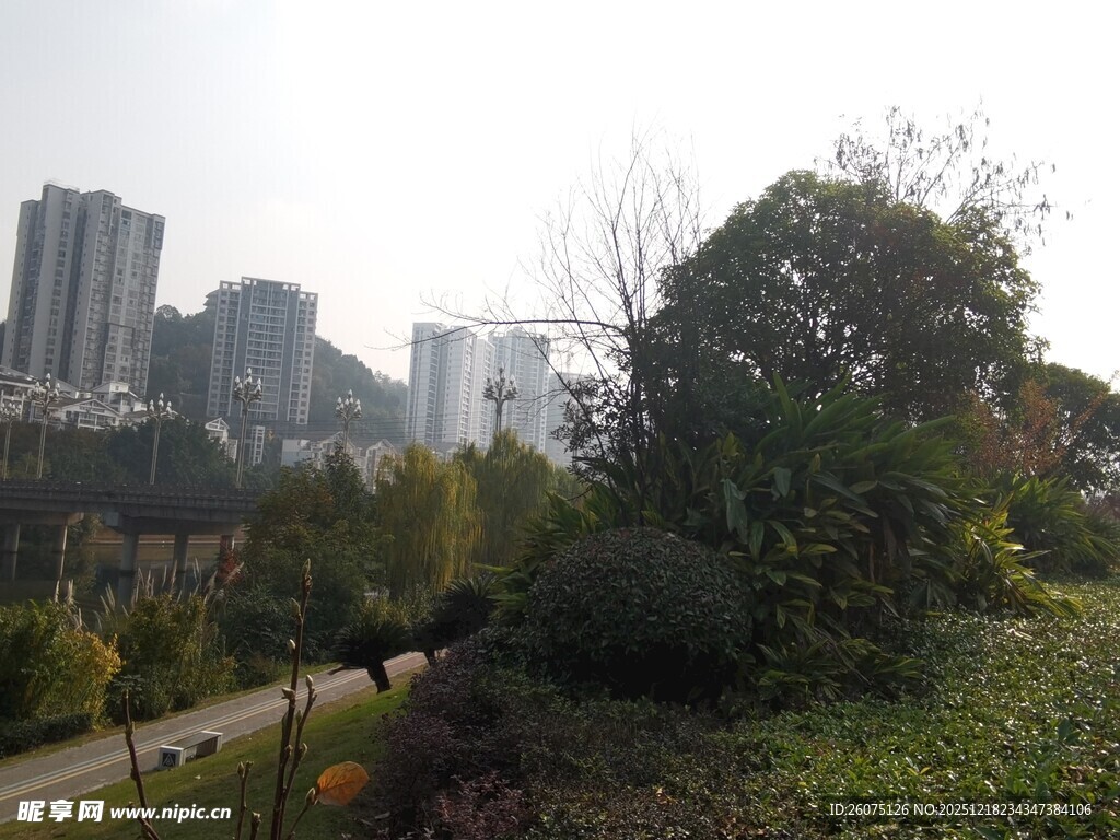 城市中的绿植景观