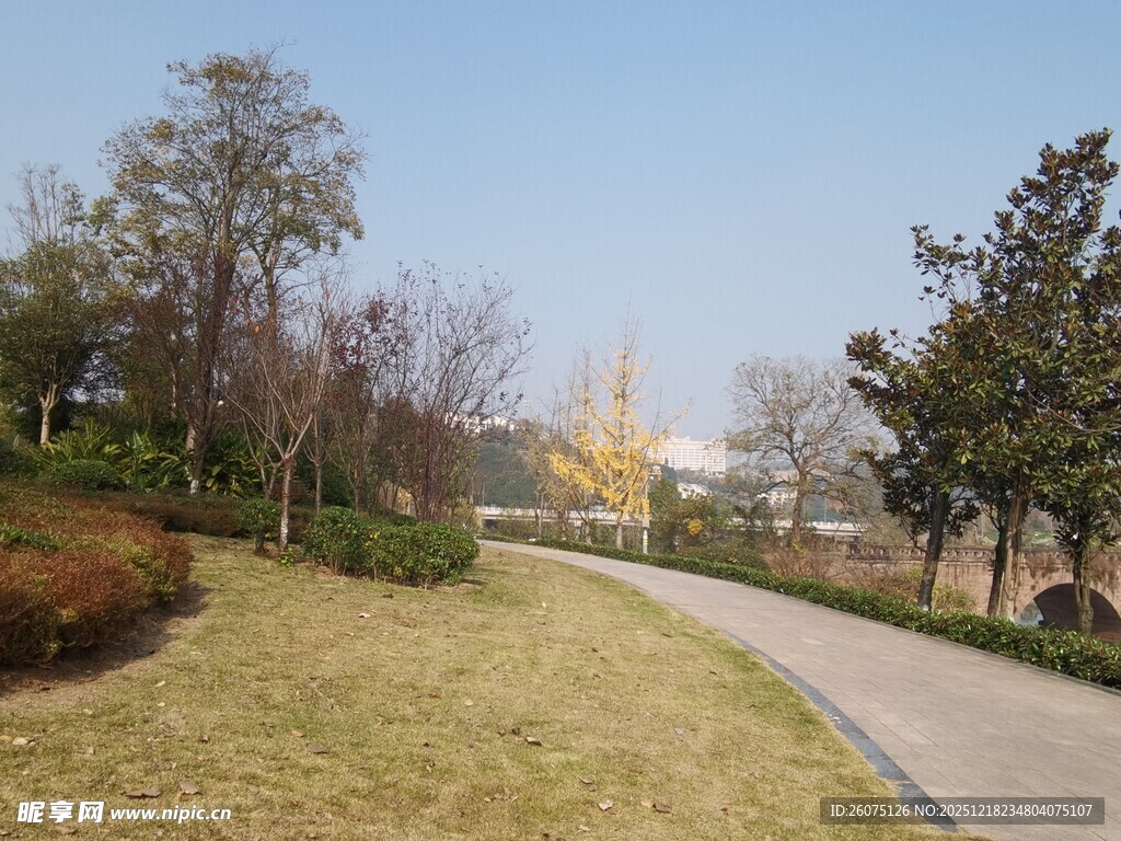 城市公园中的宁静小路