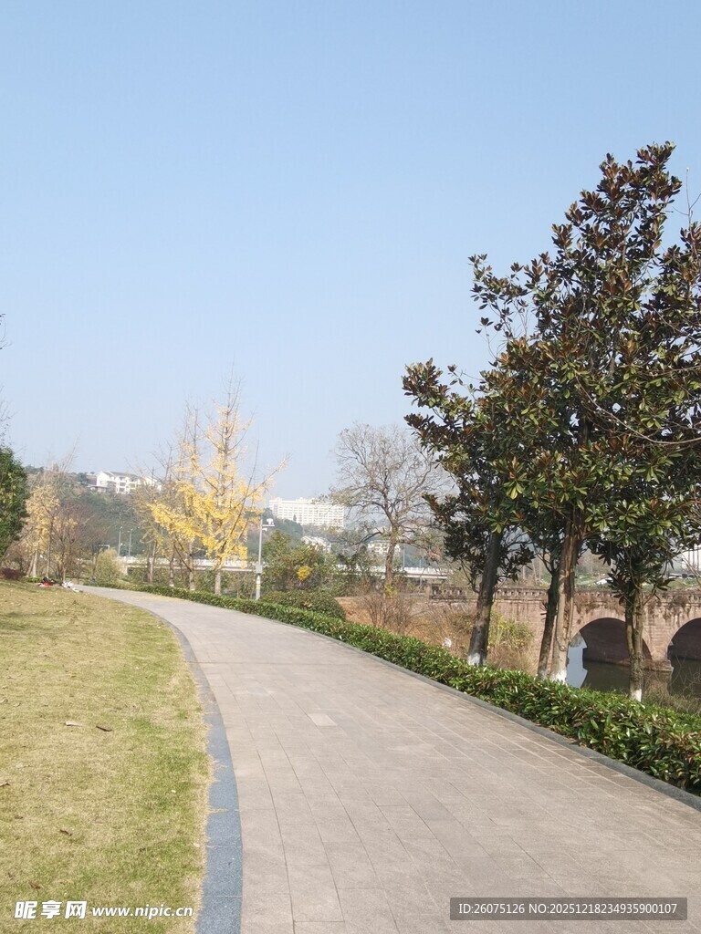 蜿蜒小径旁的绿植景观