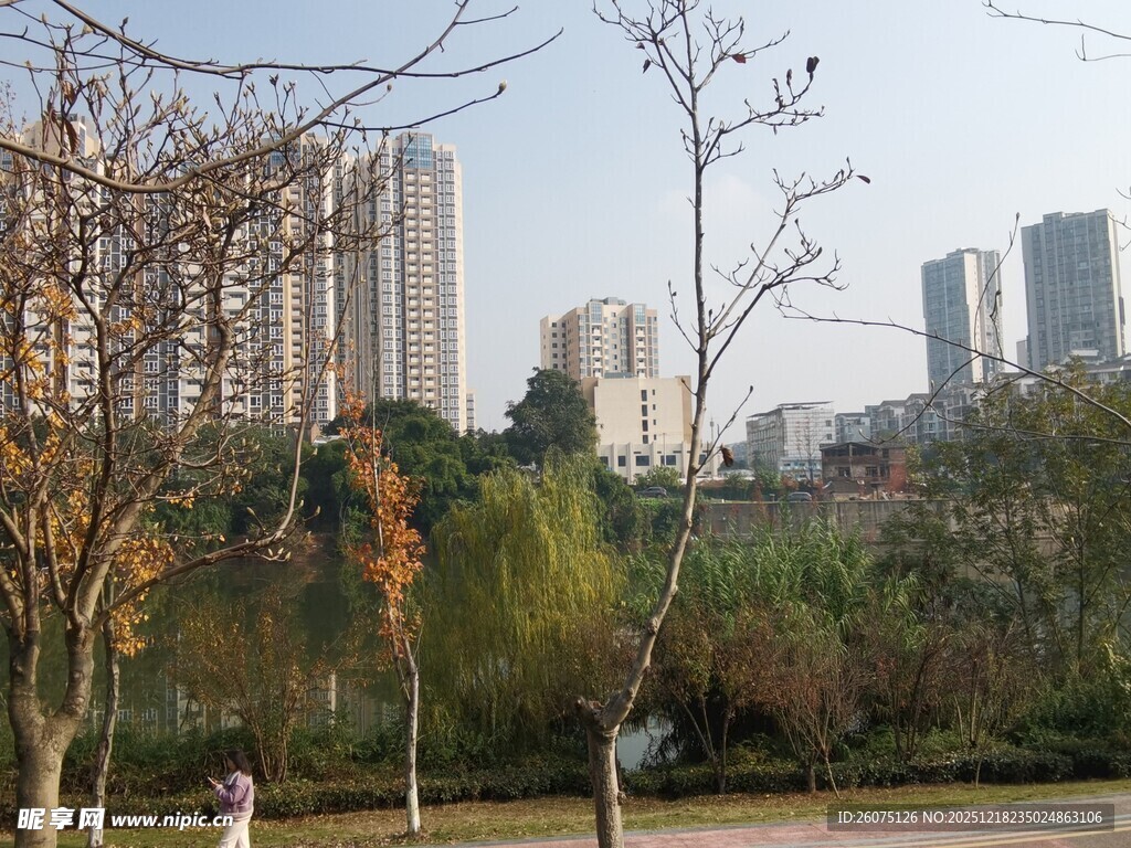 城市公园中的秋日景象