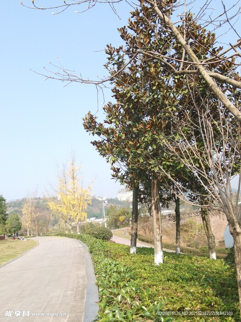 秋日林间小路风景