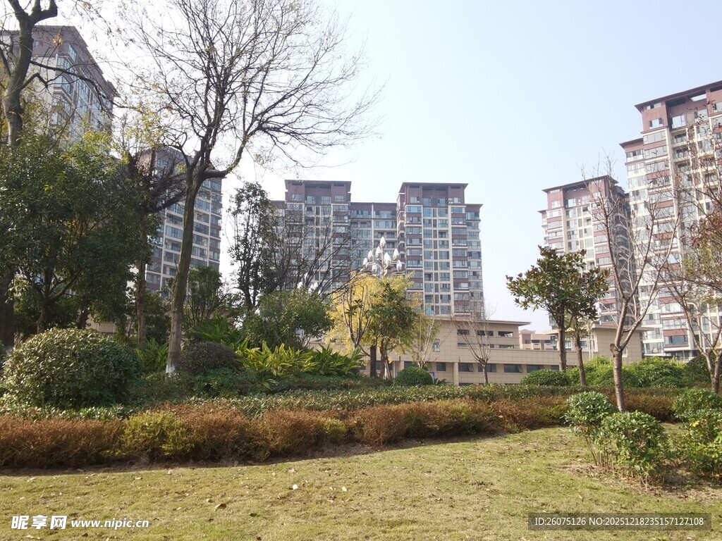 城市中的静谧绿地景观