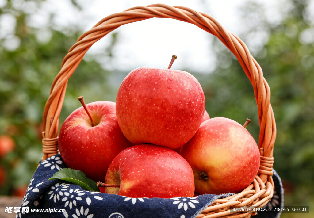 篮子里的红苹果