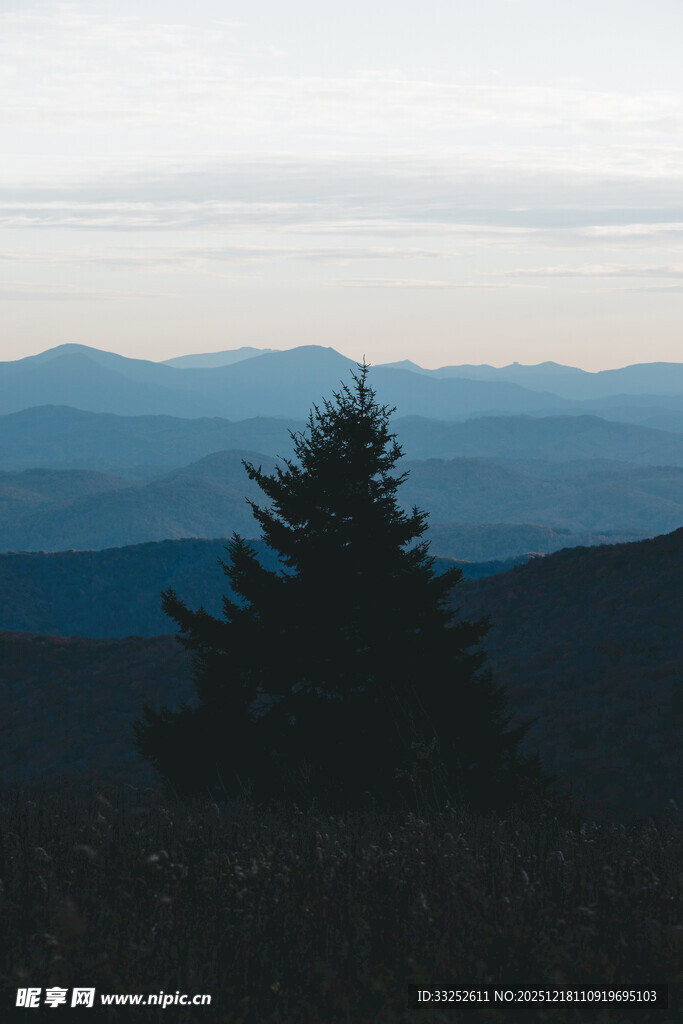 山间孤松 远观层峦景致