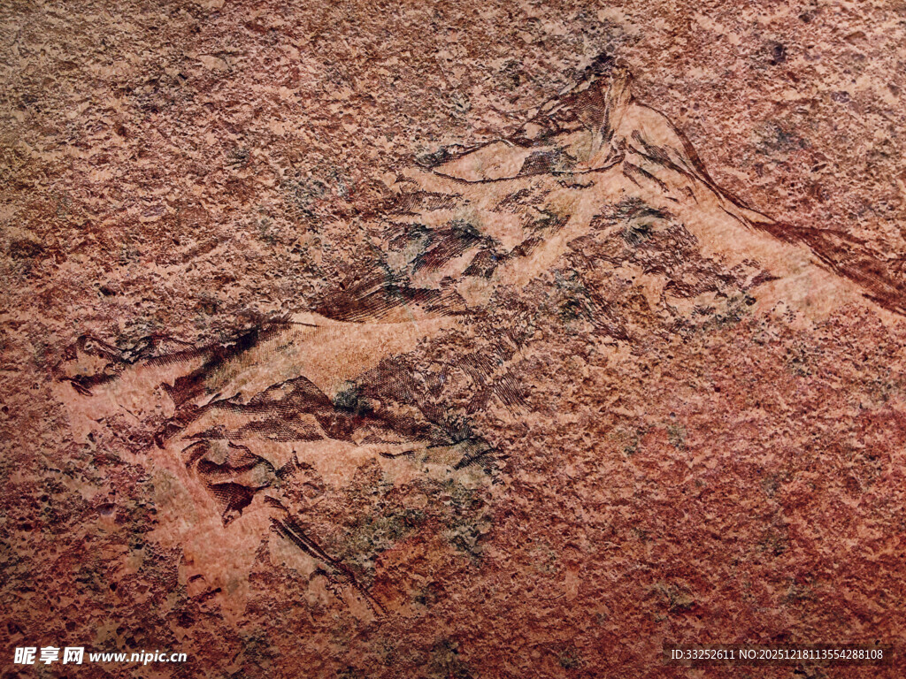 红色岩石上的神秘痕迹