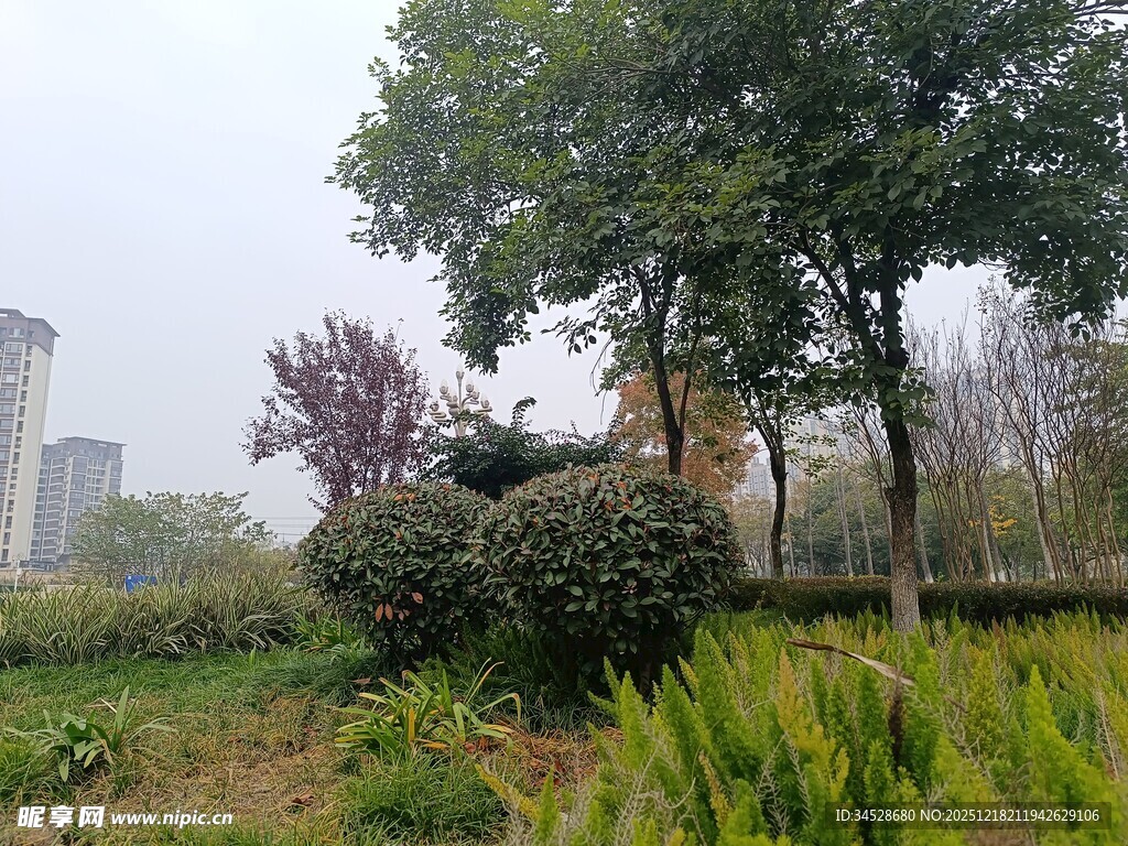 城市中的绿植景观