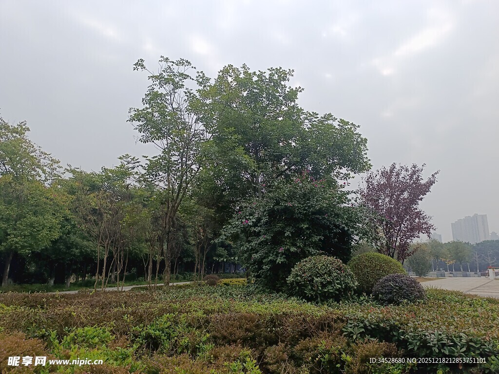 城市中的绿意景观