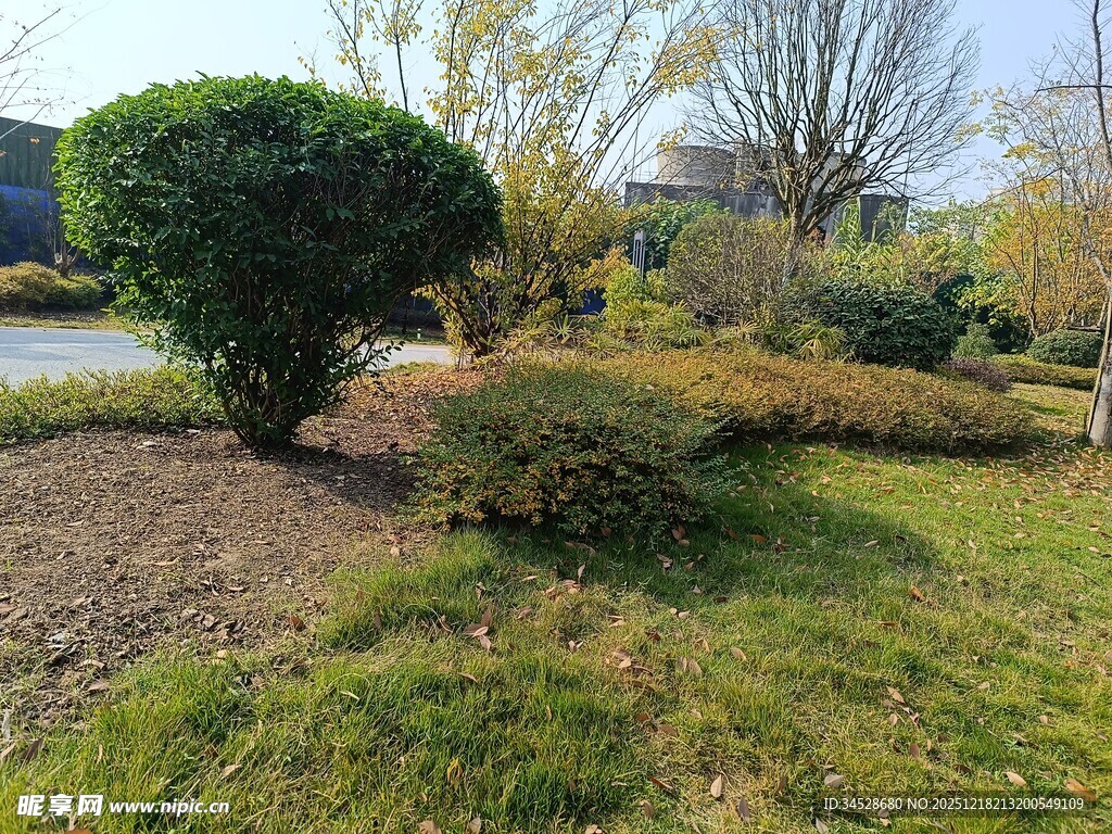 园林景观中的绿植造型