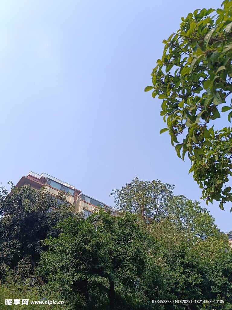 山林间隐约可见的建筑