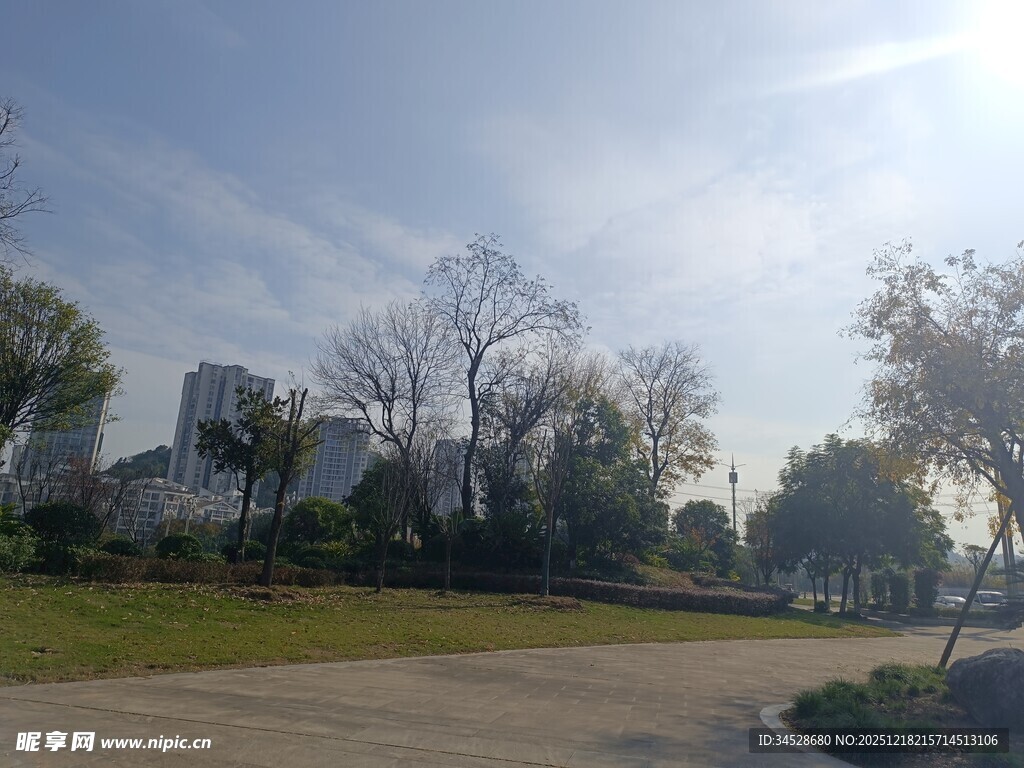 城市公园冬日风光