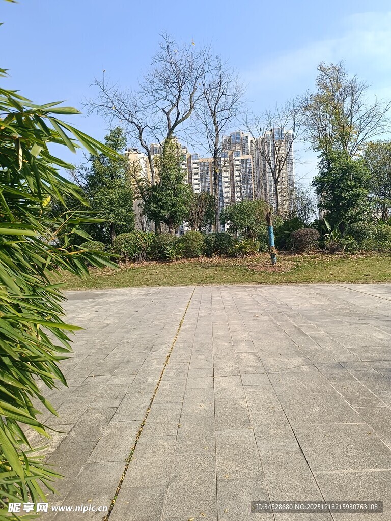 户外开阔空地绿植环绕