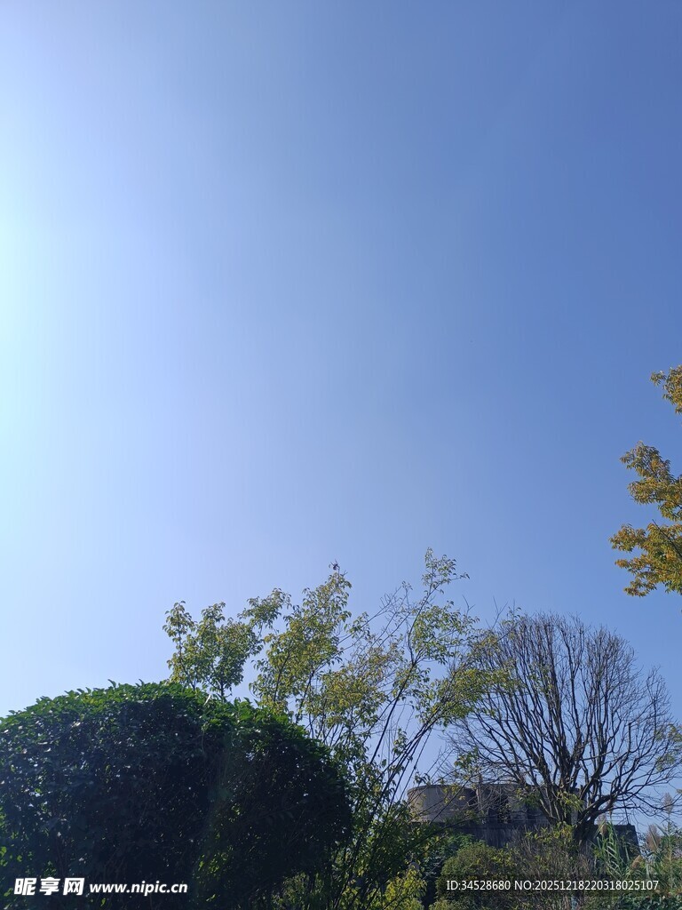 蓝天绿树的自然景致