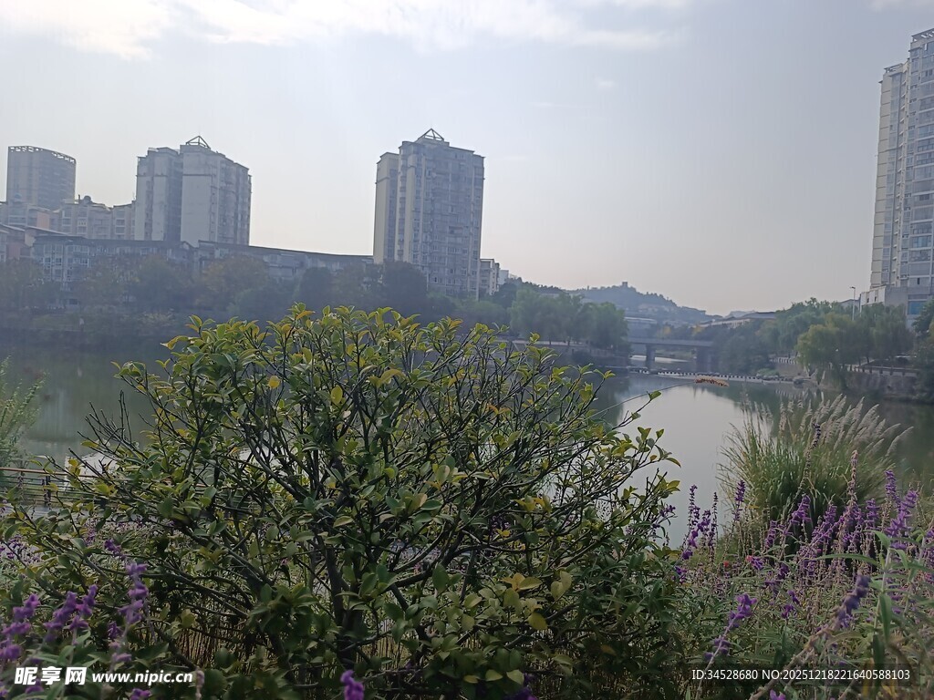 城市河畔绿植景观