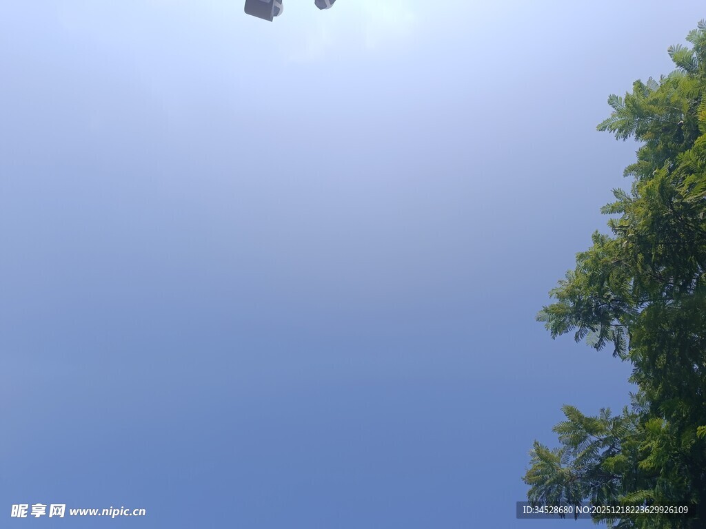 蓝天绿树间的空中景象