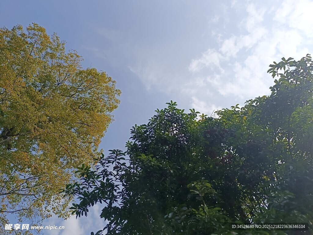 蓝天绿树间的自然景致